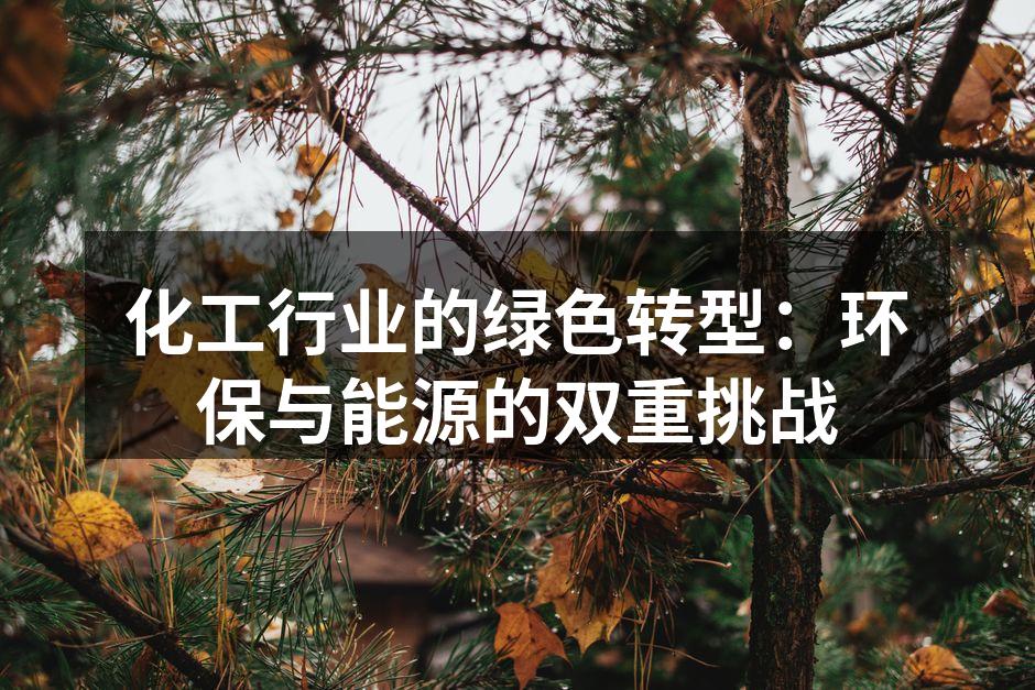 化工行业的绿色转型：环保与能源的双重挑战